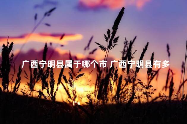 广西宁明县属于哪个市 广西宁明县有多少个乡